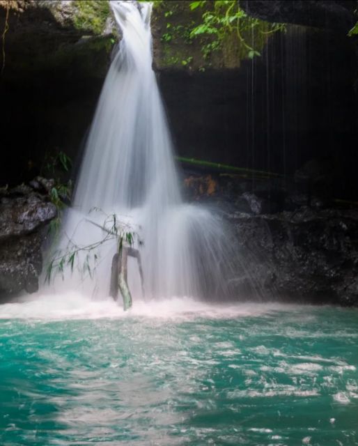 Lombok Day Trip: Ricefield, Waterfall, Monkey Forest. - Experience Highlights