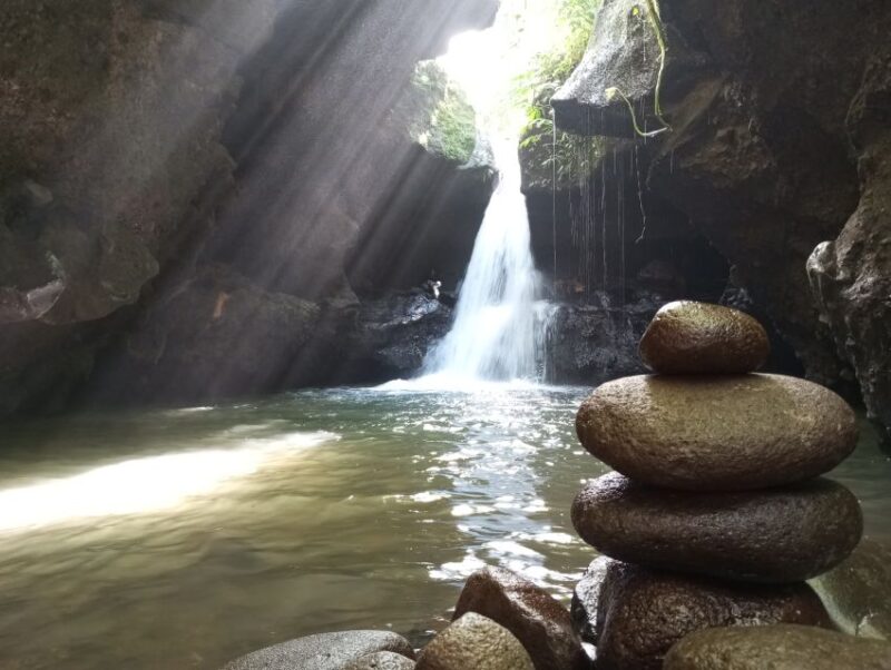 Lombok Day Trip: Ricefield, Waterfall, Monkey Forest. - Inclusions