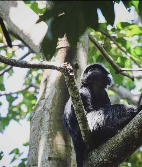 Lombok Day Trip: Ricefield, Waterfall, Monkey Forest. - Pickup Locations