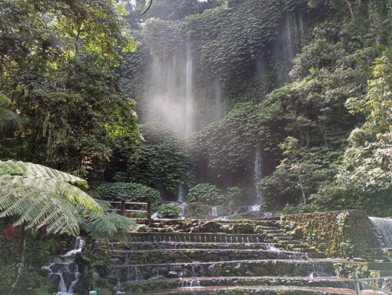 Lombok Day Trip: Waterfall, Rice Terrace, Bamboo Handycraft - Rice Terrace Visit