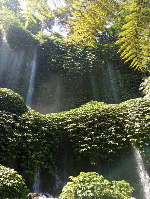 Lombok Day Trip: Waterfall, Rice Terrace, Bamboo Handycraft - Preparation and Restrictions