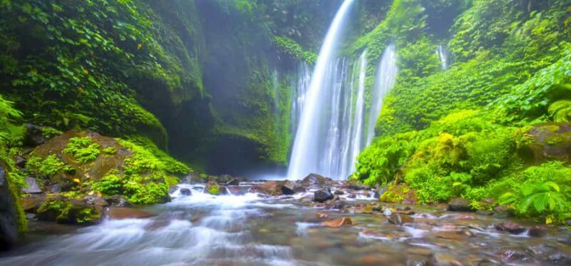 Lombok: Exclusive Sendang Gile, Tiu Kelep & Selong Hill Tour - Authentic Insights from Reviews