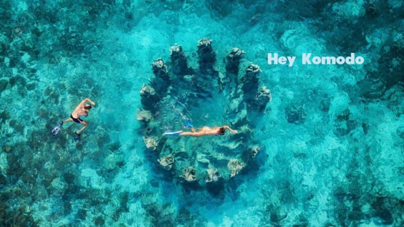 Lombok Full Day Snorkeling Tour 7 Gili at Nanggu & Trawangan - Important Information and Recommendations