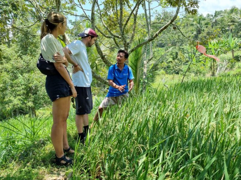 Lombok: Fully Customizable Private Tour With Driver-Guide - Key Points