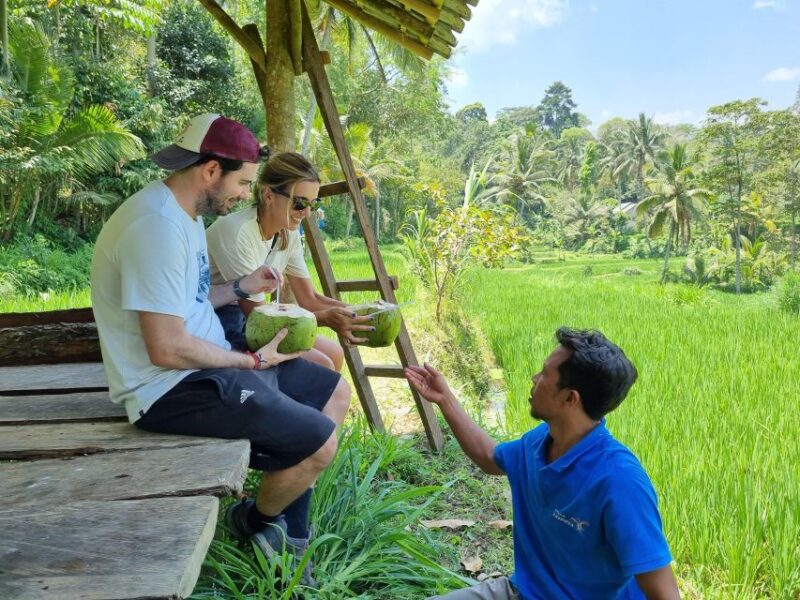 Lombok: Fully Customizable Private Tour With Driver-Guide - Inclusions