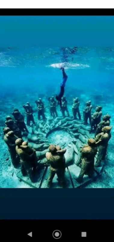 Lombok : Gili Islands Private Snorkeling Tour - Who Should Consider This Tour?