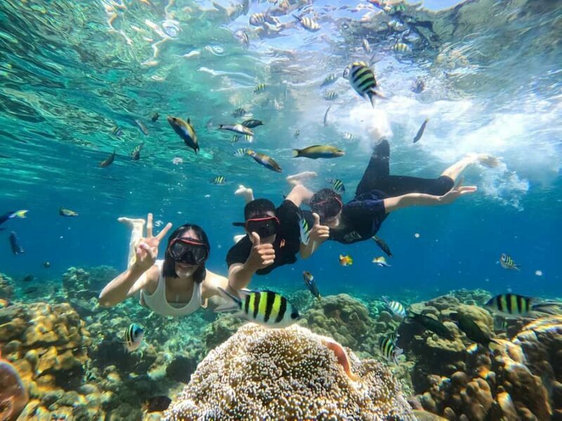Lombok: Gili Nanggu, Sudak and Kedis Private Snorkeling Tour - An Authentic Day on Lombok’s Gili Islands