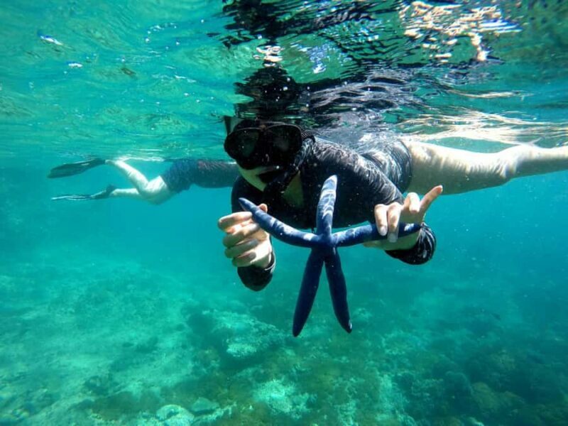 Lombok: Gili Nanggu, Sudak and Kedis Private Snorkeling Tour - The Bottom Line