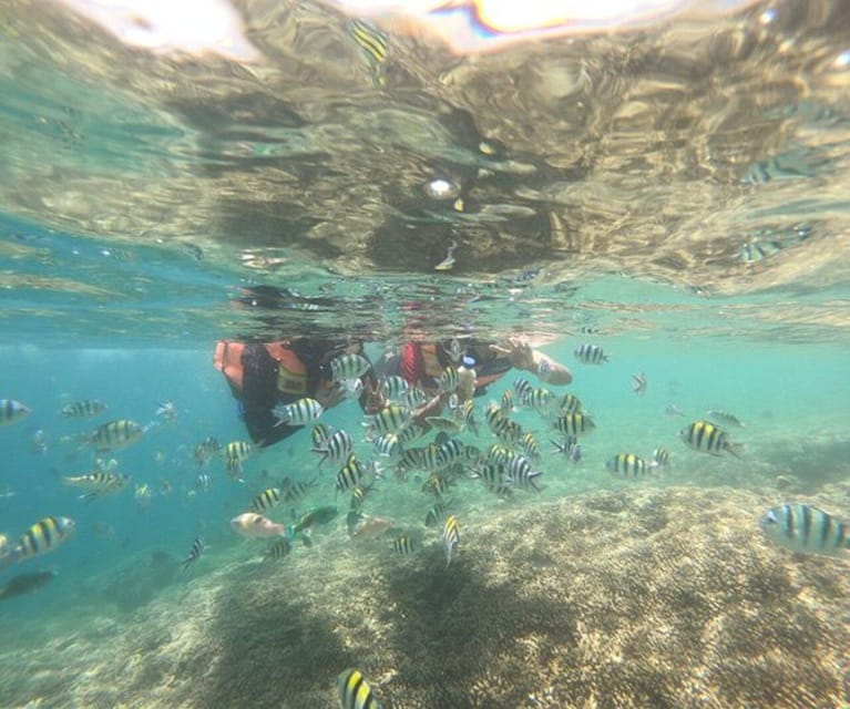 Lombok : Gili Nanggu, Sudak & Kedis Private Snorkeling Tour - Key Points