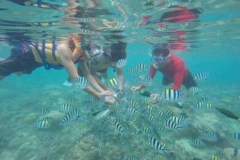 Lombok : Gili Nanggu, Sudak & Kedis Private Snorkeling Tour - Itinerary