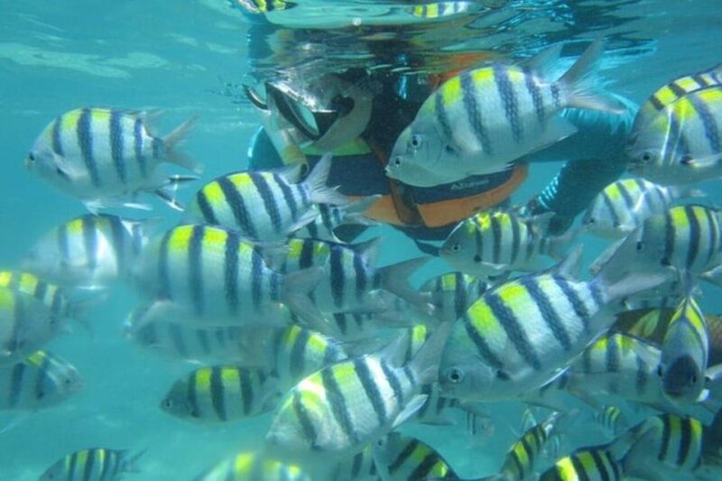 Lombok : Gili Nanggu, Sudak & Kedis Private Snorkeling Tour - Island Stops
