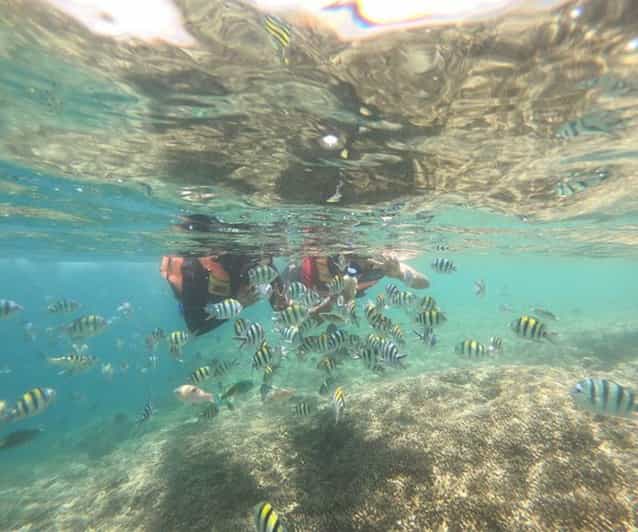 Lombok : Gili Nanggu, Sudak & Kedis Private Snorkeling Tour - Customer Reviews