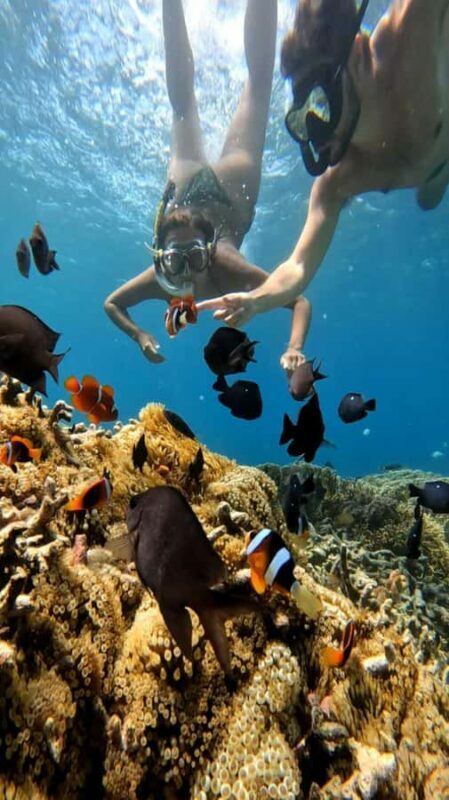 Lombok: Gili Nanggu, Tangkong, Sudak, and Kedis Islands Tour - FAQs