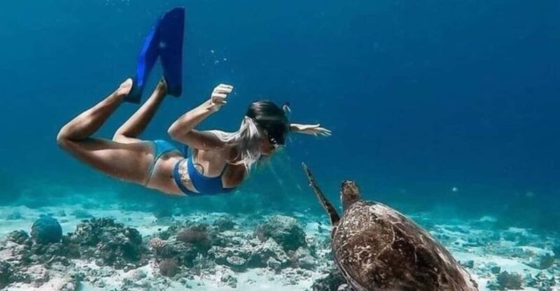 Lombok : Gili Trawangan, Meno & Air Private Snorkeling Tour - Key Points
