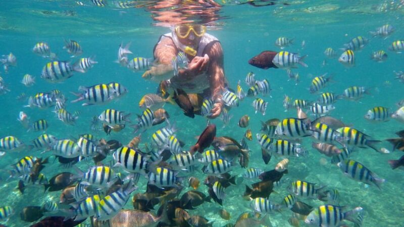 Lombok: Gili Trawangan, Meno, Air Snorkeling Trip - Snorkeling Highlights