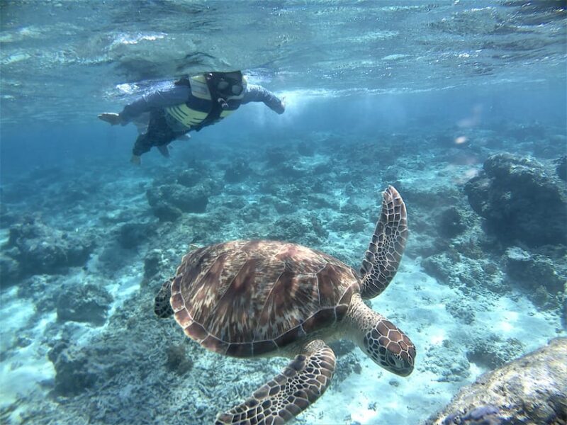 Lombok: Gili Trawangan, Meno, Air Snorkeling Trip - Beach Relaxation