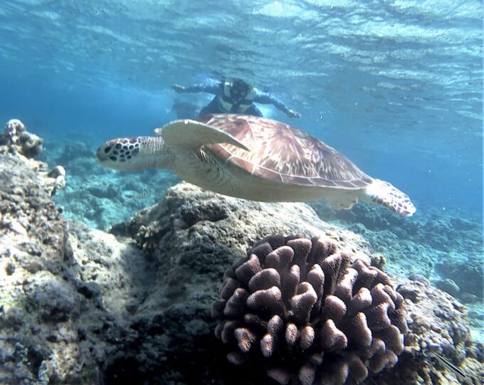 Lombok: Gili Trawangan, Meno, Air Snorkeling Trip - Frequently Asked Questions