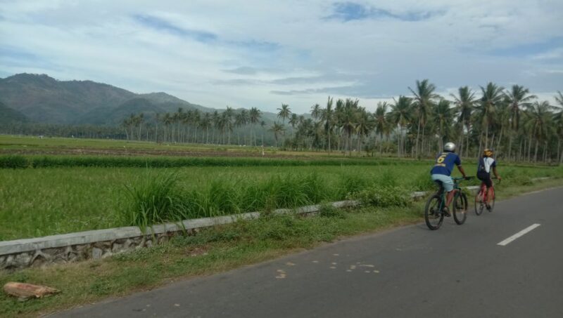 Lombok: Half Day City and Pengsong Countryside Biking Tour - Key Points
