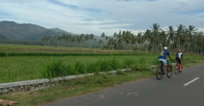 Lombok: Half Day City and Pengsong Countryside Biking Tour - Countryside Biking Experience