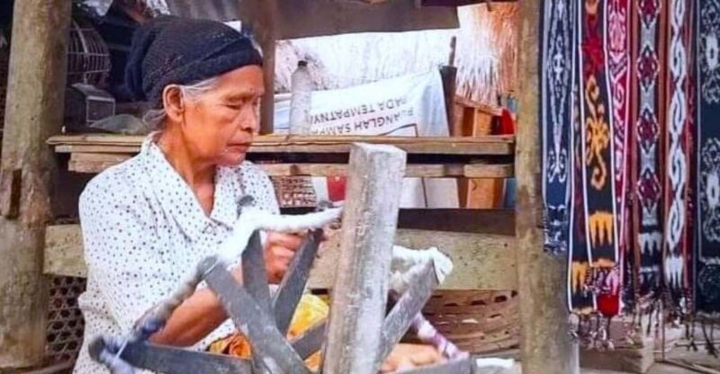 Lombok : Highlights Tour With Local Traditional Culture - Cultural Experience