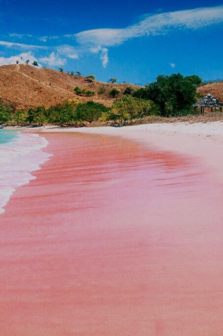 Lombok: Komodo Island 4-Day Boat Trip With Food and Board - Booking and Payment