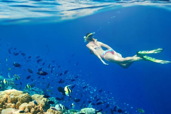 Lombok Pink Beach Boat Trip (Full Day + Snorkeling) - Trip Highlights