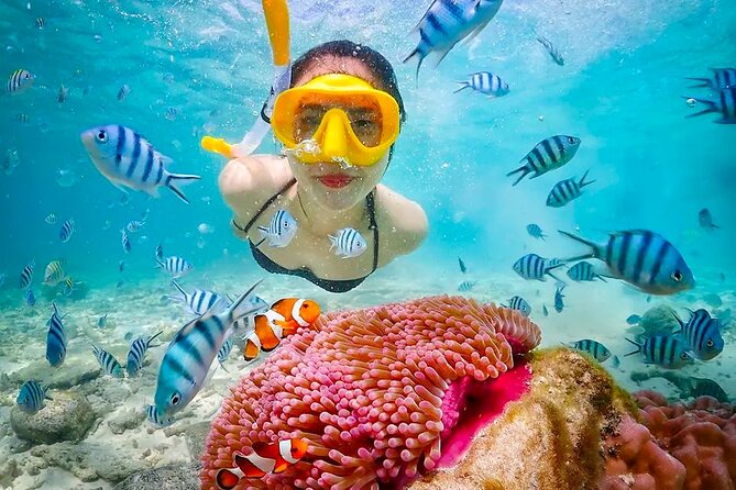 Lombok Pink Beach Boat Trip (Full Day + Snorkeling) - What to Bring
