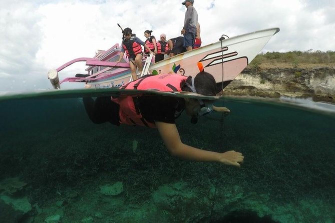 Lombok Pink Beach Boat Trip (Full Day + Snorkeling) - Reviews