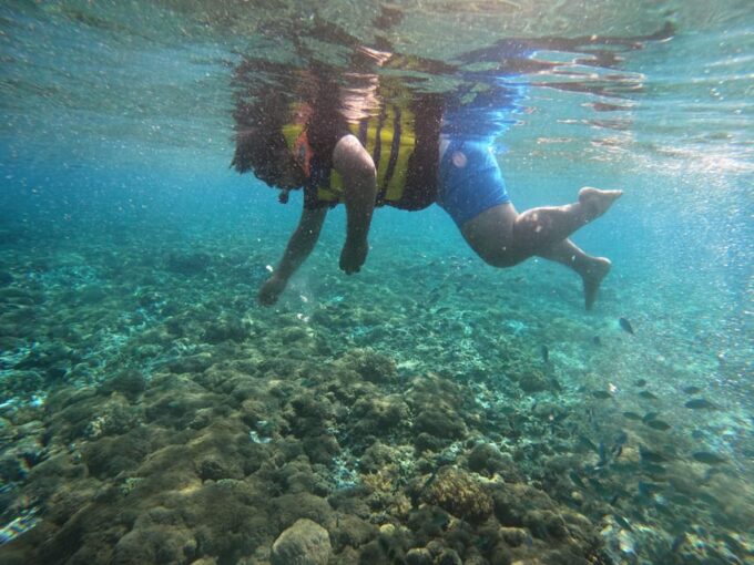 Lombok Pink Beach Boat Trip : Snorkeling & Relaxing - Pickup and Drop-off Locations