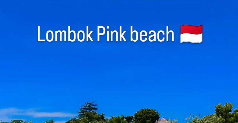 Lombok: Pink Beach, Snorkeling, & Tanjung Ringgit Tour - Itinerary Highlights