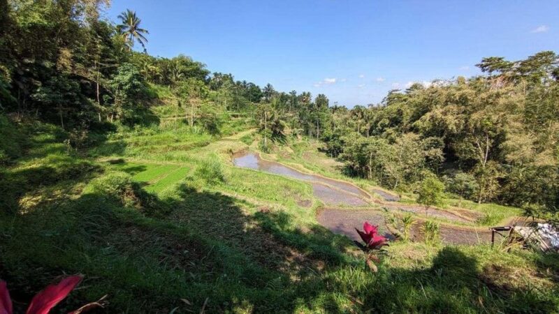 Lombok: Privat Tetebatu Rice Terrace Panorama Walking Tour - Inclusions and Exclusions