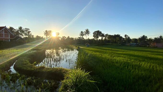 Lombok: Privat Tetebatu Rice Terrace Panorama Walking Tour - Pickup and Drop-off Locations