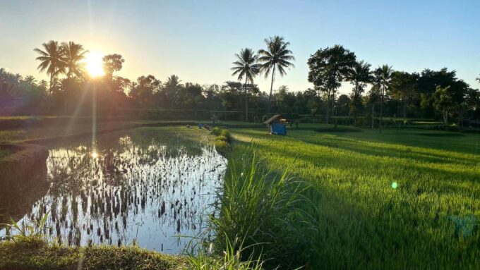 Lombok: Privat Tetebatu Rice Terrace Panorama Walking Tour - Frequently Asked Questions