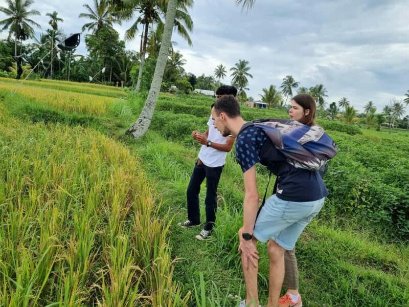 Lombok: Private Customizable Tour with Driver-Guide - The Itinerary in Detail