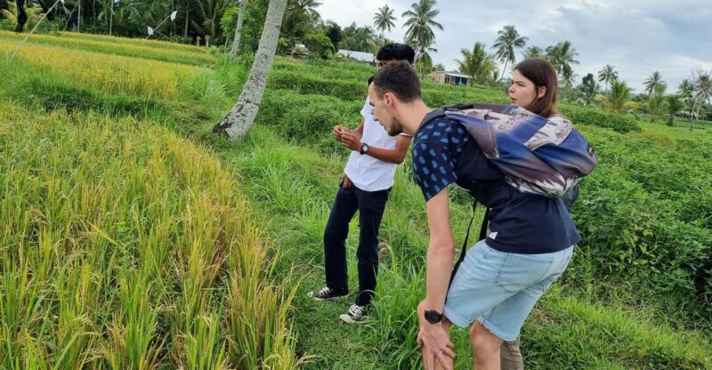 Lombok: Private Customizable Tour With Driver-Guide - Key Points