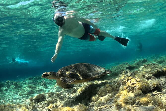 Lombok Private Customize Full Day Trip - Positive Feedback Highlights