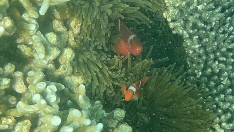 Lombok: Private Day Trip Snorkeling in Secret Island - Cancellation Policy