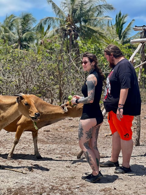Lombok: Private Day Trip Snorkeling in Secret Island - Recommended Attire