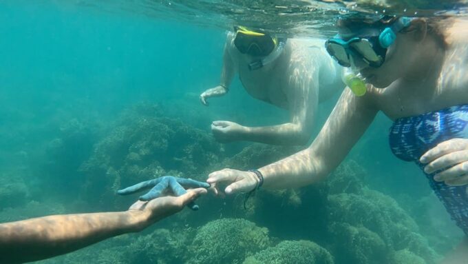 Lombok: Private Day Trip Snorkeling in Secret Island - Unsuitability for Pregnant Women