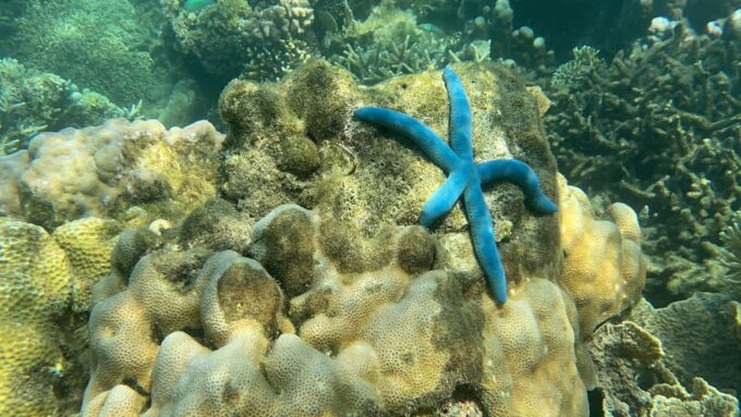 Lombok: Private Day Trip Snorkeling in Secret Island - Customer Feedback
