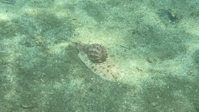 Lombok: Private Day Trip Snorkeling in Secret Island - Frequently Asked Questions