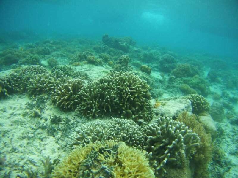 Lombok: Private Island Tour by Boat With Snorkeling - Key Points