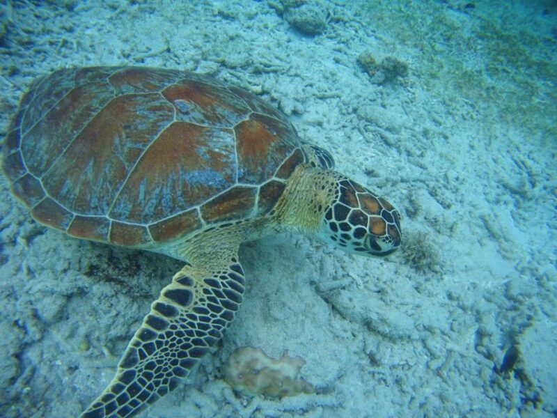 Lombok: Private Island Tour by Boat With Snorkeling - Itinerary Highlights