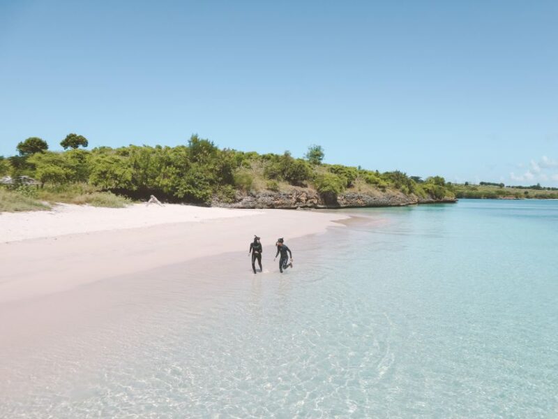 Lombok: Private Pink Beach Tour & Snorkeling + Photographer - Customer Reviews