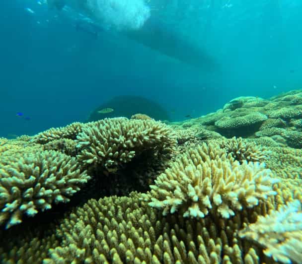 Lombok : Private Snorkel Tour Gili Rengit, Gede & Gili Layar - Itinerary