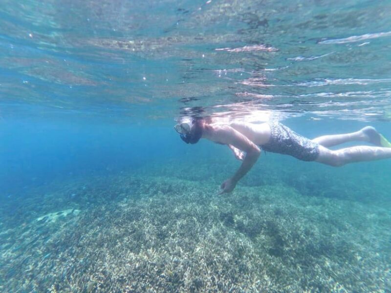 Lombok : Private Snorkel Tour Gili Rengit, Gede & Gili Layar - Inclusions