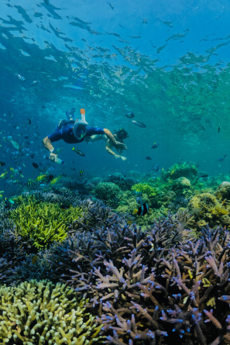 Lombok: Private Snorkeling Gili Kondo, Gili Bidara, Gili Kapal. - Recommendations for Guests
