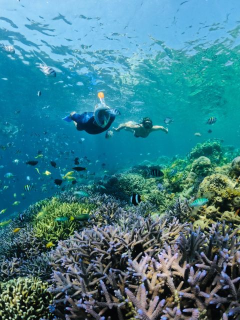 Lombok: Private Snorkeling Gili Nanggu, Gili Sudak, Gili Kedis. - Key Points