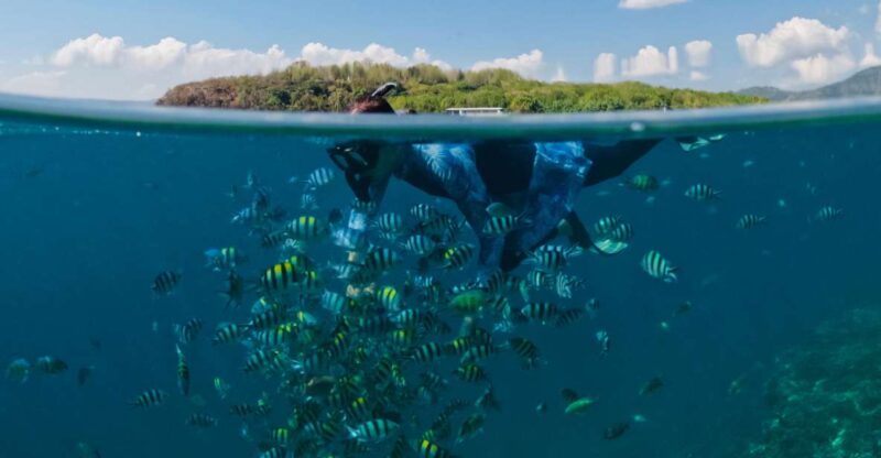 Lombok: Private Snorkeling Gili Nanggu, Gili Sudak, Gili Kedis. - Itinerary and Locations