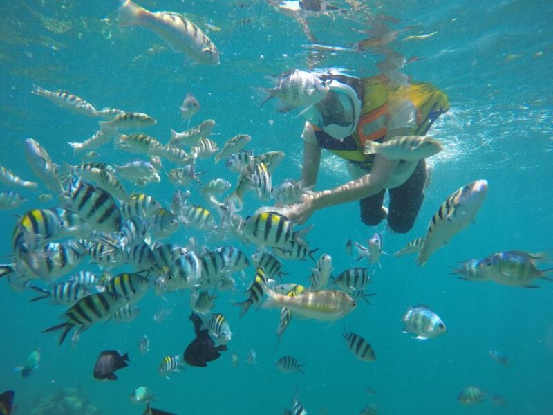 Lombok: Private Snorkeling Gili Nanggu, Gili Sudak, Gili Kedis. - Highlights of Gili Sudak